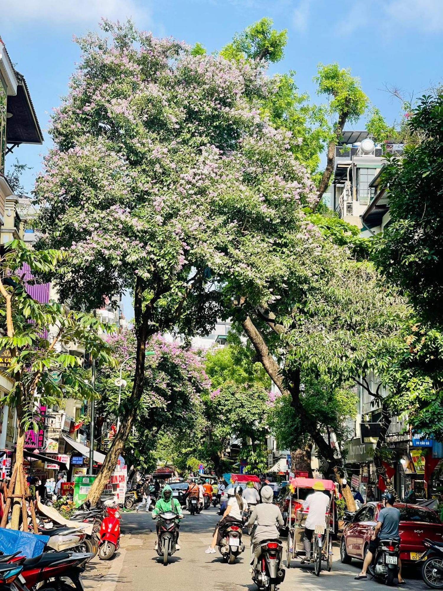 Old House Homestay Hanoi